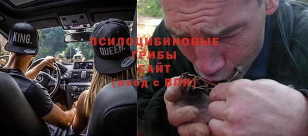 индика Навашино