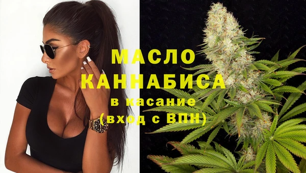 индика Навашино