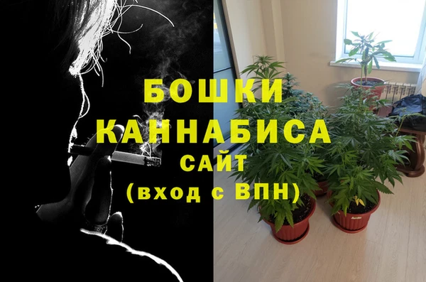 индика Навашино